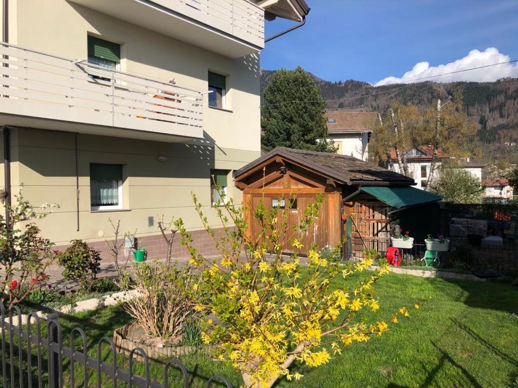 Appartamento Luminoso, Giardino, Vista Dolomiti. Базельга-ді-Піне Екстер'єр фото